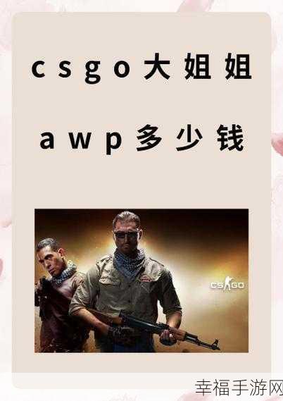 暴躁姐姐CSGO最强角色：拓展暴躁姐姐：揭秘CSGO中最强角色的幕后故事