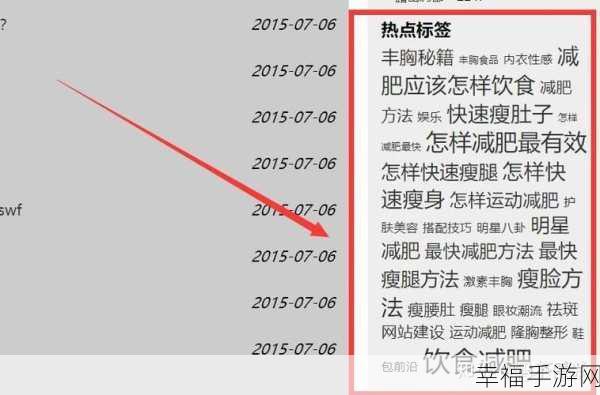 WordPress 访问遇阻？终极解决秘籍在此！