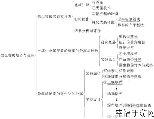 曝光黑料应用：全面剖析曝光黑料应用的影响与潜在风险