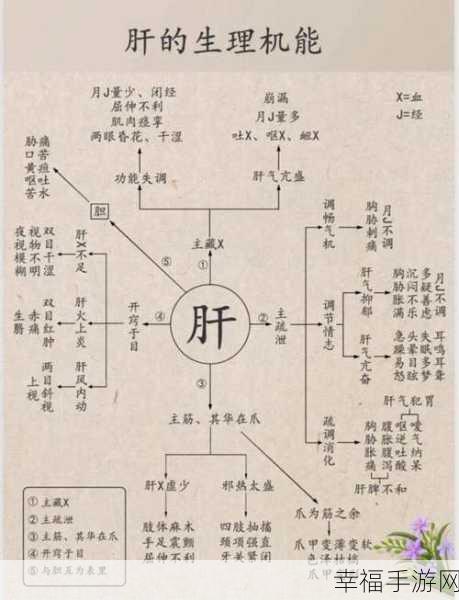 办公室强肝的播出时间：《拓展办公室强肝》最新播出时间及精彩内容一览