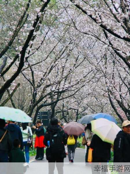 漾出flower樱花有翻译：“绽放春日魅力：樱花的浪漫与诗意”