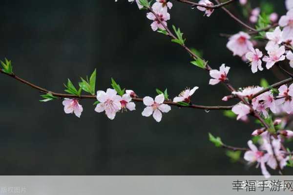 桃花深处水潺潺：桃花深处水潺潺，春意荡漾映光华。