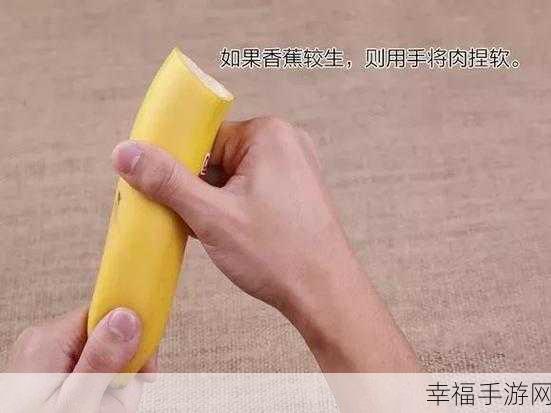 “香蕉视频”：“探索香蕉视频：趣味短片与精彩瞬间的完美结合”