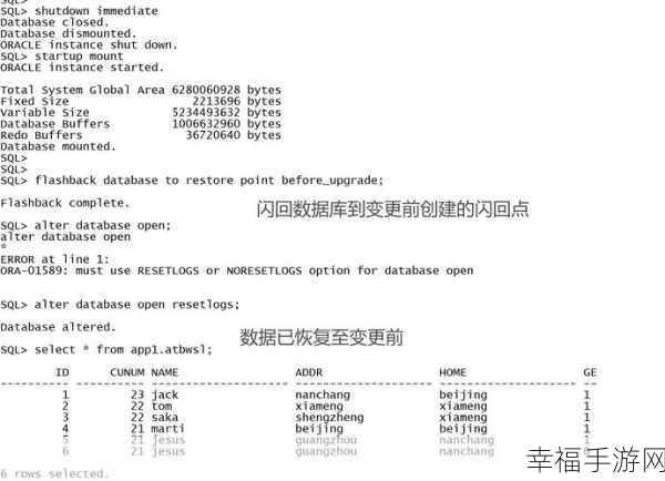 Oracle 数据库单表完整数据备份攻略，含约束等要点全解析