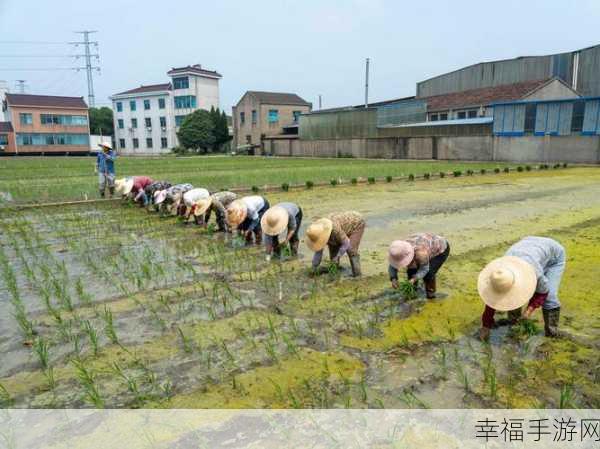 夫妻之间三十中插秧方法：婚姻生活中的三十个相处之道