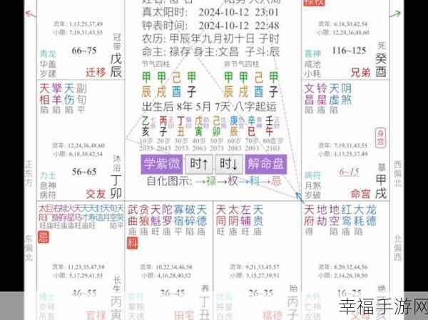 gogogo高清在线排盘：在线紫微斗数排盘系统