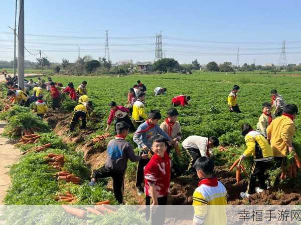 拔萝卜打扑克生猴子：萝卜扑克猴：一场奇妙的拔萝卜之旅