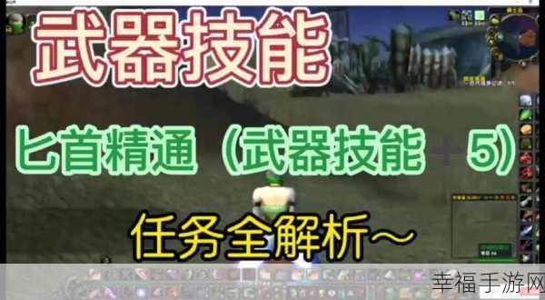 乌龟服盗贼输出手法：龟壳流盗贼伤害技巧