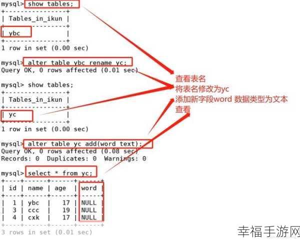 MySQL 清空表数据秘籍，快速高效的操作指南