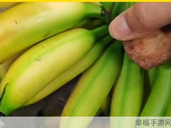 香蕉视频。：香蕉短片