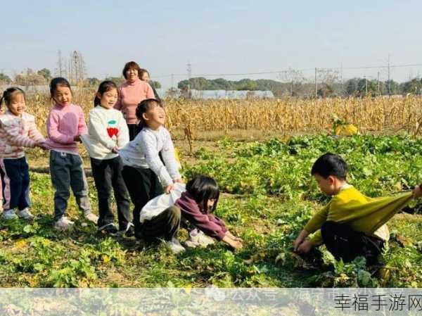 二人世界拔萝卜生猴子用黄瓜：小两口种菜记：黄瓜与萝卜的趣味收获