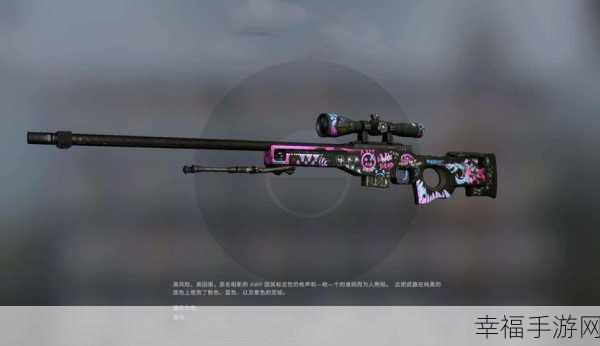 日本csgo大姐姐awp多少钱：日本CSGO女玩家AWP武器价格详解