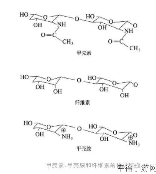 几丁质是关键：甲壳素：生命的基石