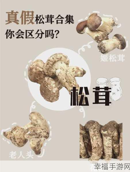 蘑菇黑料爆料：蘑菇内幕大揭秘