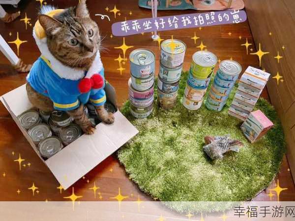 麻豆精产国品一二三产区七色猫：七彩猫咪优选 - 精品国产区