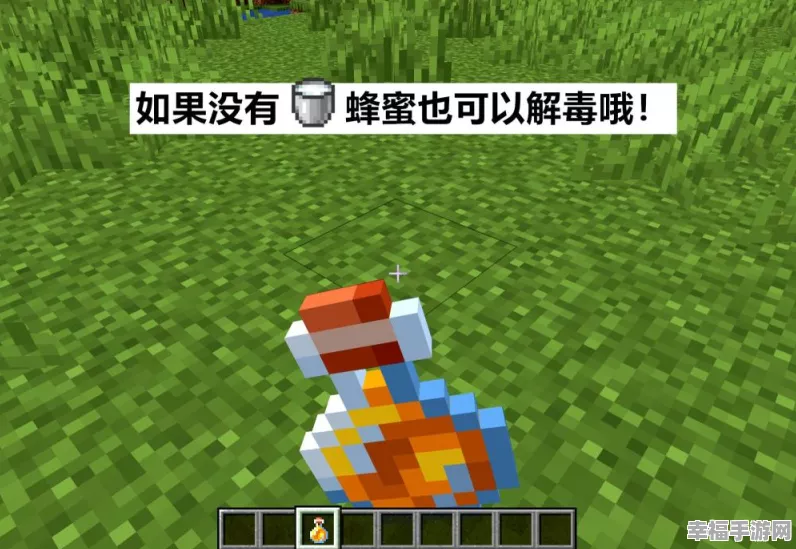 我的世界高手秘籍，无伤取蜂蜜技巧大揭秘